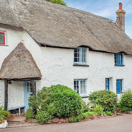 Lobster Cottage Dawlish Exterior photo